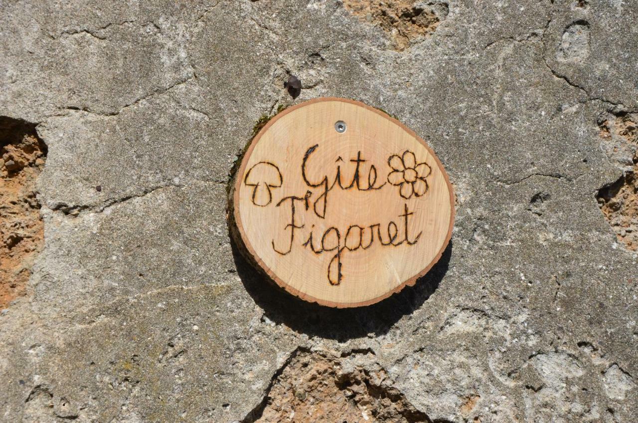Gite Figaret Saint-Julien-de-la-Nef 외부 사진